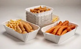 Paper Food Trays