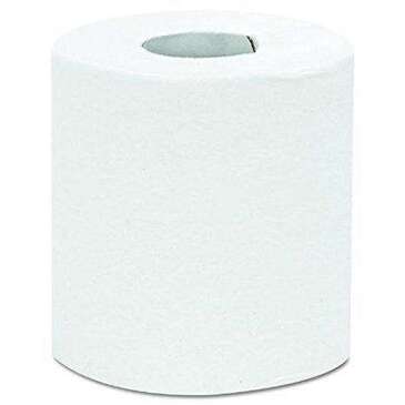 ARVESTA Toilet Tissue, 4" x 3.5", 2 Ply, Recycled, 96/Case, Arvesta PTPR96-L