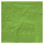 CONVERTING Beverage Napkin, 10" x 10", Fresh Lime, Paper, 2 Ply, (50/Pack) Creative Converting 80-3123B