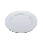 G.E.T. Enterprises PT-12-MN-W Plate, Plastic