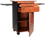 National Public Seating MMC Computer Workstation Cabinet / Cart